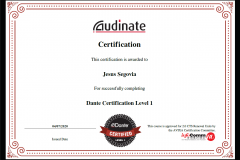 AUDINATE_DANTECertificationLevel1