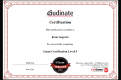 AUDINATE_DANTECertificationLevel3