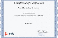 POLY_AssessmentImmersiveTelepresenceLevel1_ITPEX101