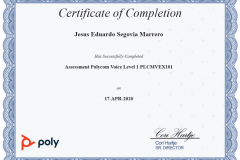 POLY_AssessmentPolycomVoiceLevel1_PLCMVEX101