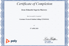 POLY_CustomerFormedSolutionSelling_CFSSOS101