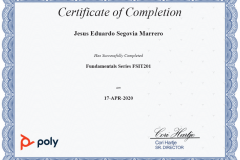 POLY_FundamentalsSeries_FSIT201
