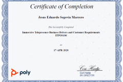 POLY_ImmersiveTelepresenceBusinessDriversAndCustomerRequirements_ITPOS106