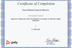 POLY_ImmersiveTelepresenceWhyYouShouldCareAndHaveToSellSuccessfully_ITPOS105