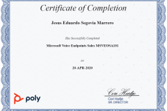 POLY_MicrosoftVoiceEndpointsSales_MSVEOSA101