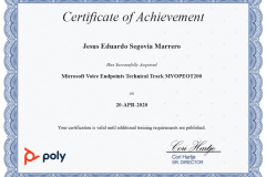 POLY_MicrosoftVoiceEndpointsTechnicalTrack_MVOPEOT200