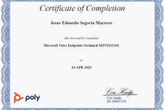 POLY_MicrosoftVoiceEndpointsTechnical_MSVEOT101