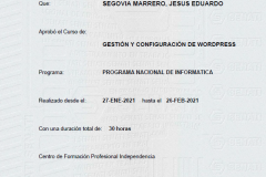 SENATI_GestionConfigWordpress